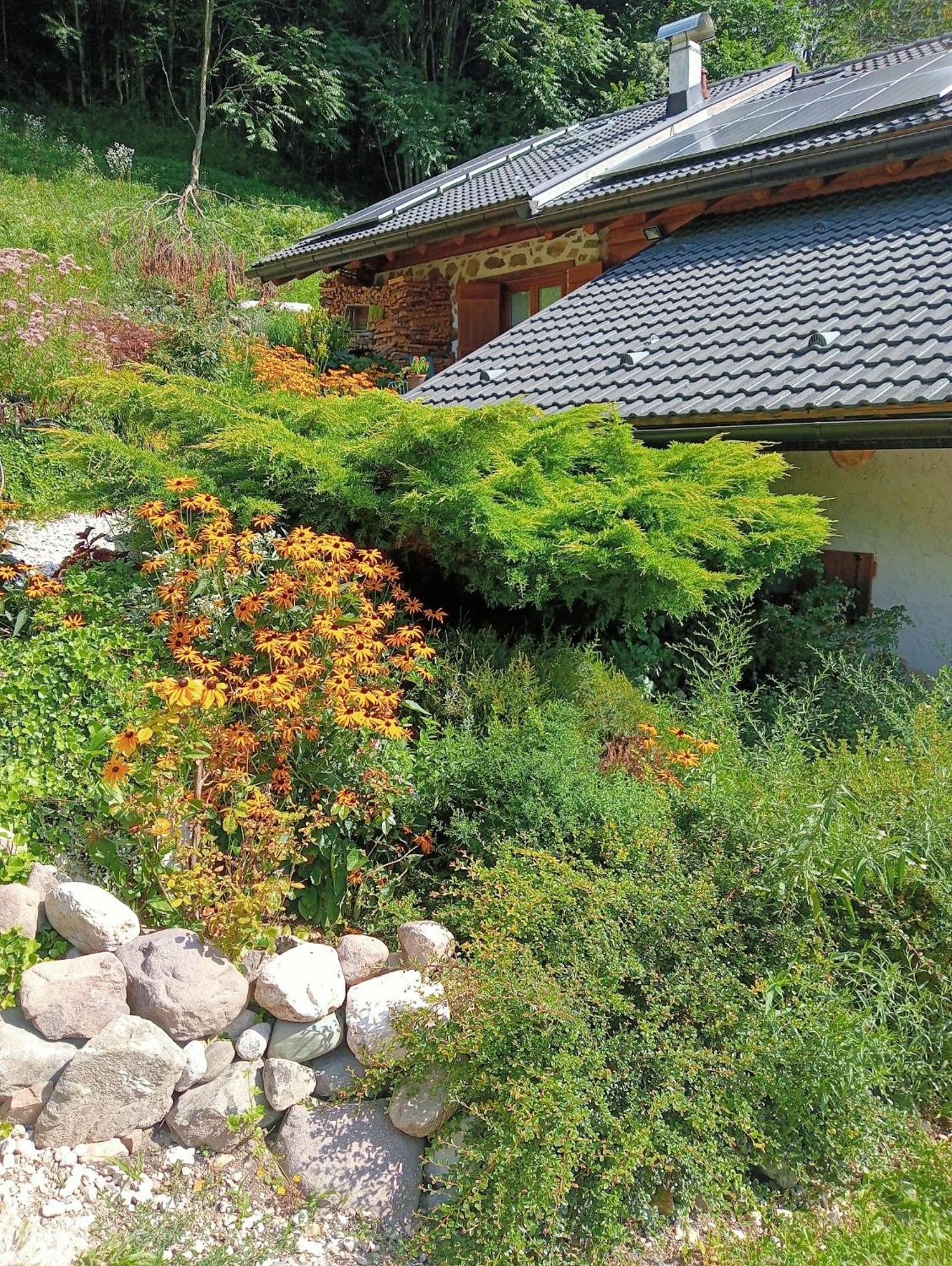 Il Ciliegio Bed & Breakfast Imer ภายนอก รูปภาพ